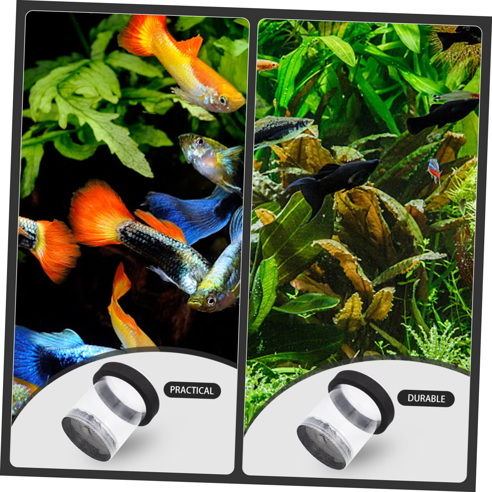 Floating Fish Breeding Box - Aquarium Hatchery Incubator for Fish Tank, Fishbowl & Aquatainer | Ideal for Hatching, Breeding & Isolating Fish | Perfect for Home Aquariums & Fish Farms