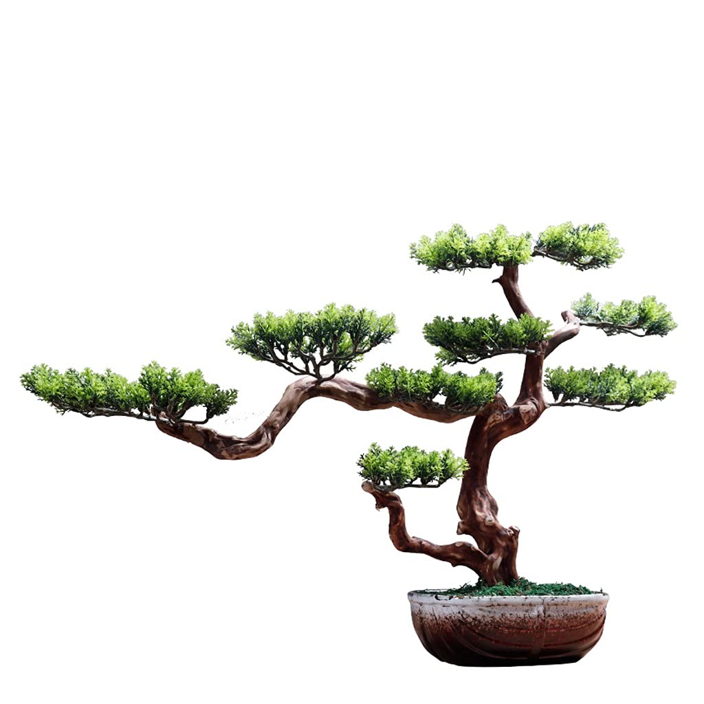 YANLI2233 Realistic Artificial Pine Bonsai Tree - No Watering Fake Plant with Natural Root Art & Ceramic Pot for Home Office Decor | Perfect for Living Room, Study Desk, Reception Area & Zen Spaces