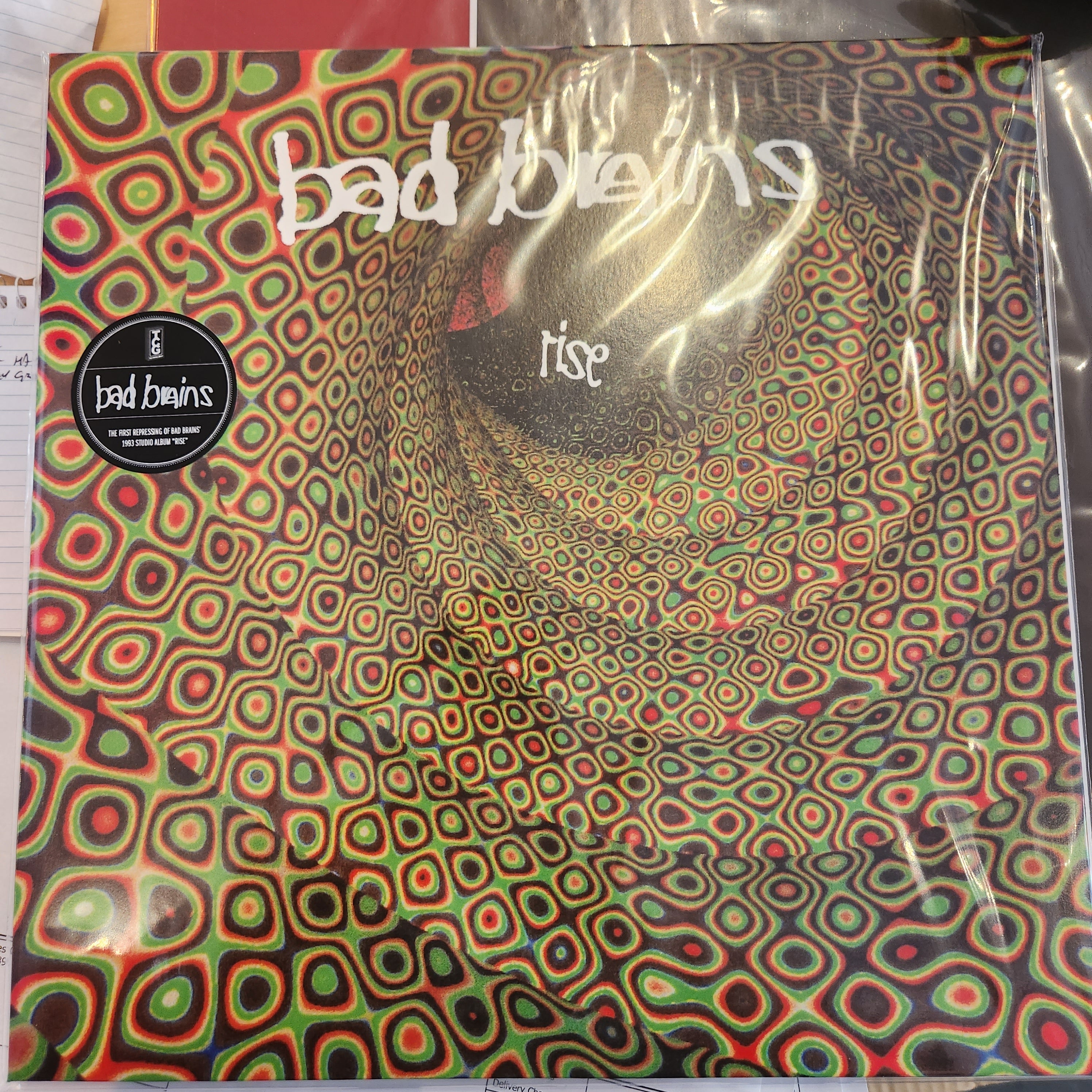 Bad Brains - Rise Vinyl LP Record | Punk Rock Music Album for Collectors & Fans | Perfect for Home Listening & Gifts