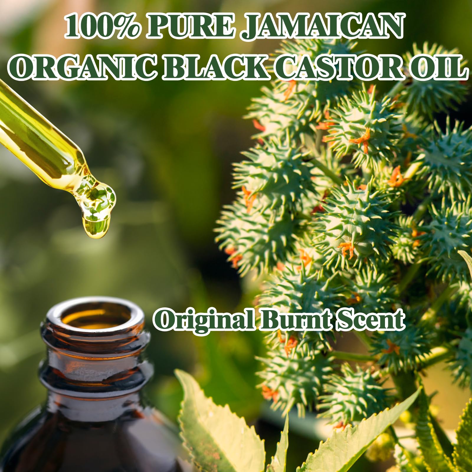 2 Bottles (4 fl oz) 100% Pure Jamaican Organic Black Castor Oil - Cold Pressed, Hexane Free, Unrefined for Hair Growth, Skin Care, Eyelash & Beard Enhancement | Natural Moisturizer for Face, Body & Nails | Promotes Thicker Lashes & Healthy Hair | Perfect for Daily Hair & Skin Routine, DIY Beauty Treatments & Natural Cosmetics