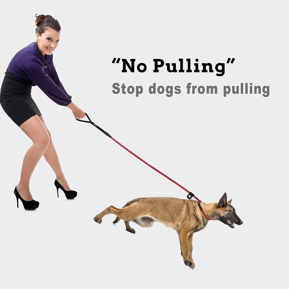 **Reflective 6ft Slip Lead Dog Leash for Large & Medium Dogs - Heavy Duty Training Rope with Strong Pull Resistance - Perfect for Walking, Hiking & Outdoor Adventures**