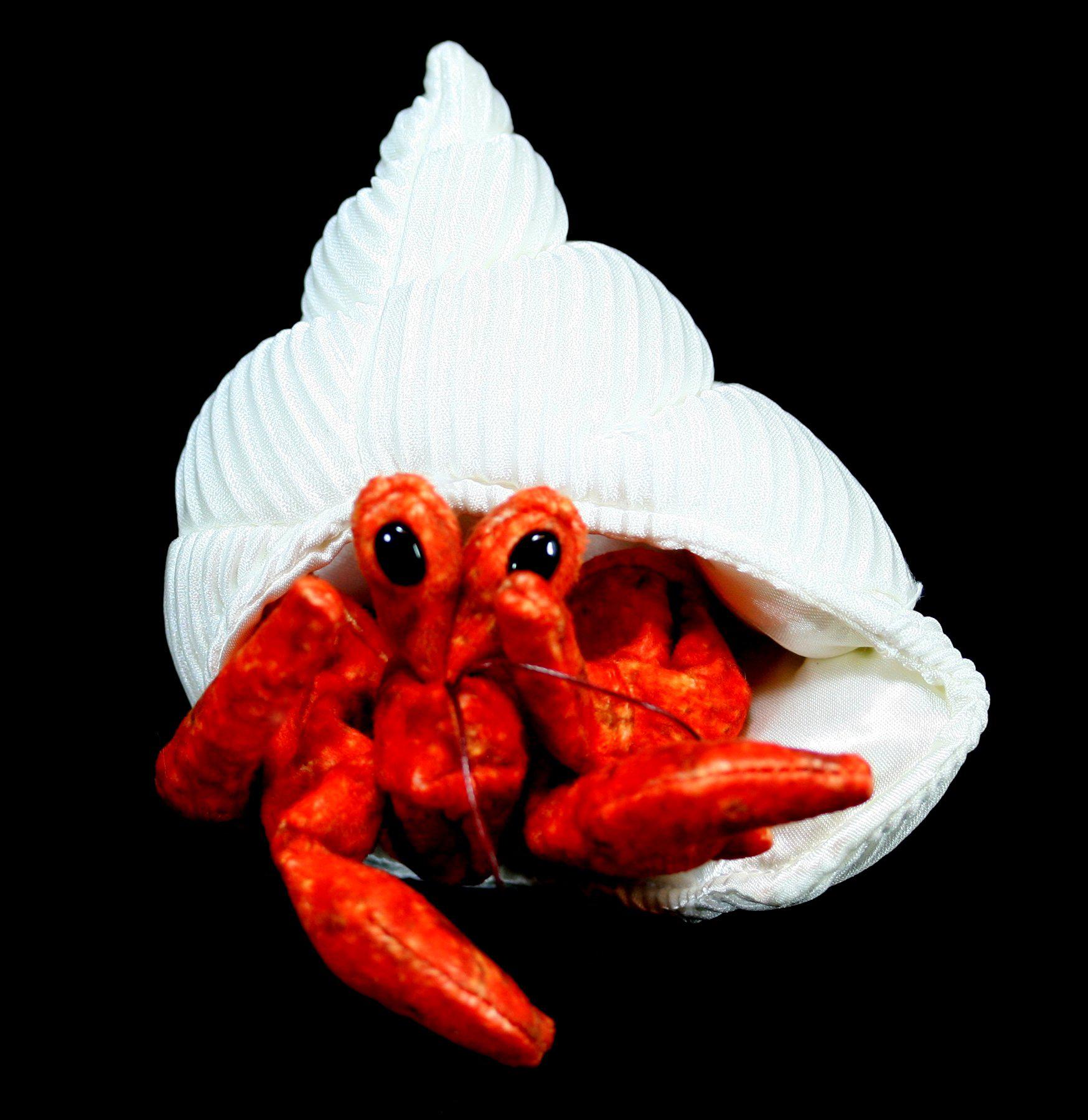 Mini Hermit Crab Puppet - Realistic Hand Puppet for Kids, Interactive Toy for Storytelling & Role Play - Perfect for Classroom, Playtime & Educational Activities