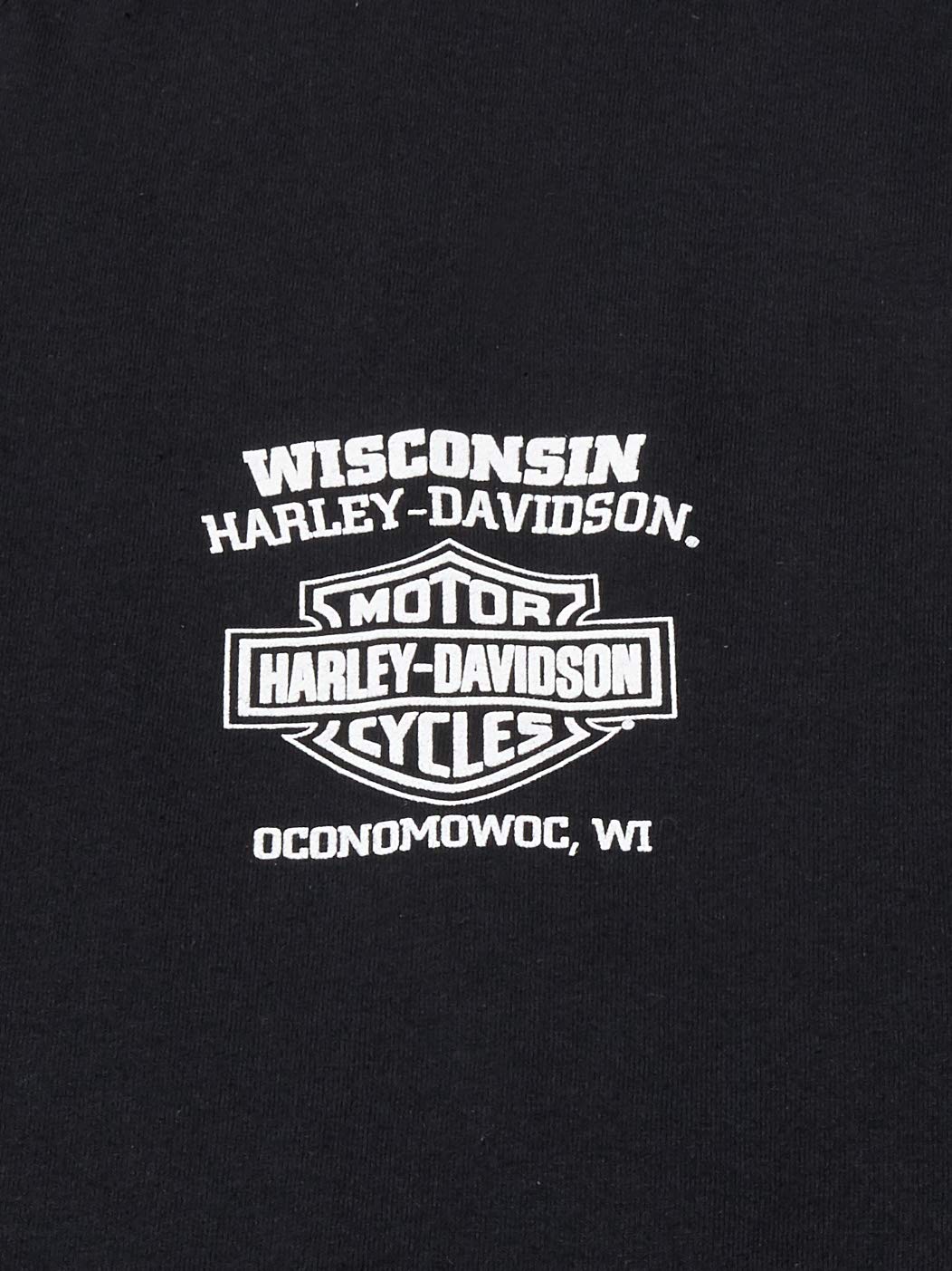 Harley-Davidson Men's Skull Lightning Graphic Long Sleeve T-Shirt - Black Cotton Crewneck Shirt for Motorcycle Riders & Biker Enthusiasts - Perfect for Riding, Casual Wear & Gifts