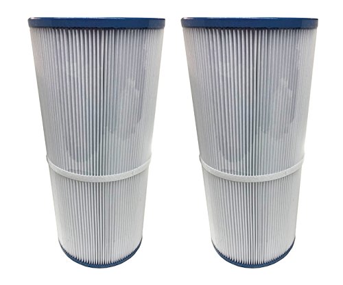 Watkins 78161 Limelight Flair Replacement Filter 2 Pack for Hot Tubs (2018-Current Model) - Perfect for Spa Maintenance & Water Filtration