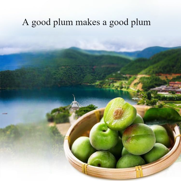 Nine System Sweet and Sour Green Plum Dried Prunes (210g per Can) - 2 Pack | Premium Dried Fruit Snack, Healthy Candy Alternative, Chinese Specialty Gift | Perfect for Office Snacks, Travel Treats & Gift Baskets