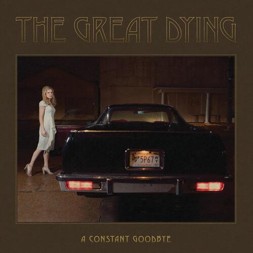 A Constant Goodbye Vinyl LP - Limited Edition Collectible Record for Music Lovers, Perfect for Home Listening & Gift Giving