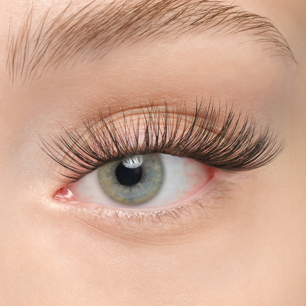 Plushy Gossamer® False Eyelashes - Natural Wispy Lashes for Dramatic Eye Makeup | Perfect for Parties, Weddings & Special Occasions