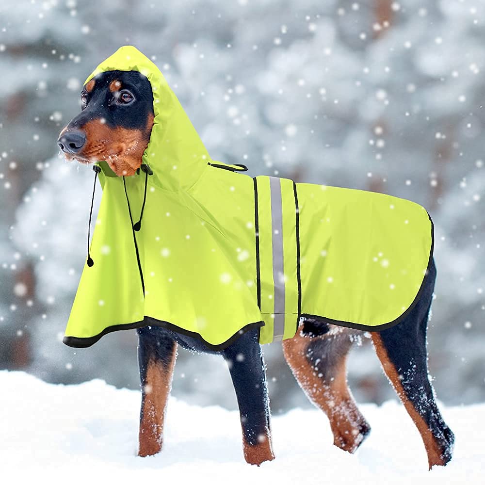 Waterproof Dog Raincoat - Adjustable Lightweight Hooded Rain Poncho for Small to X-Large Dogs & Puppies | Outdoor Walking, Hiking & Rainy Day Protection (Neon Green, Large)