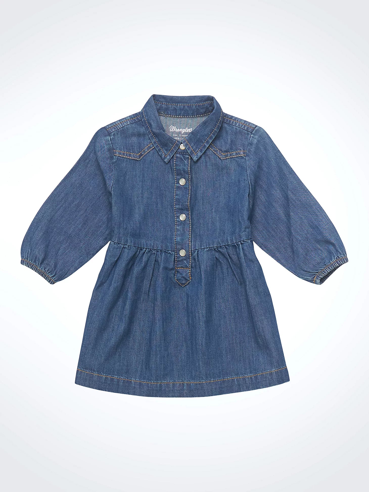 Blue Denim Ruffle Yoke Dress for Little Girls - Cute & Comfortable Toddler Outfit for Playdates, Parties & Family Photos