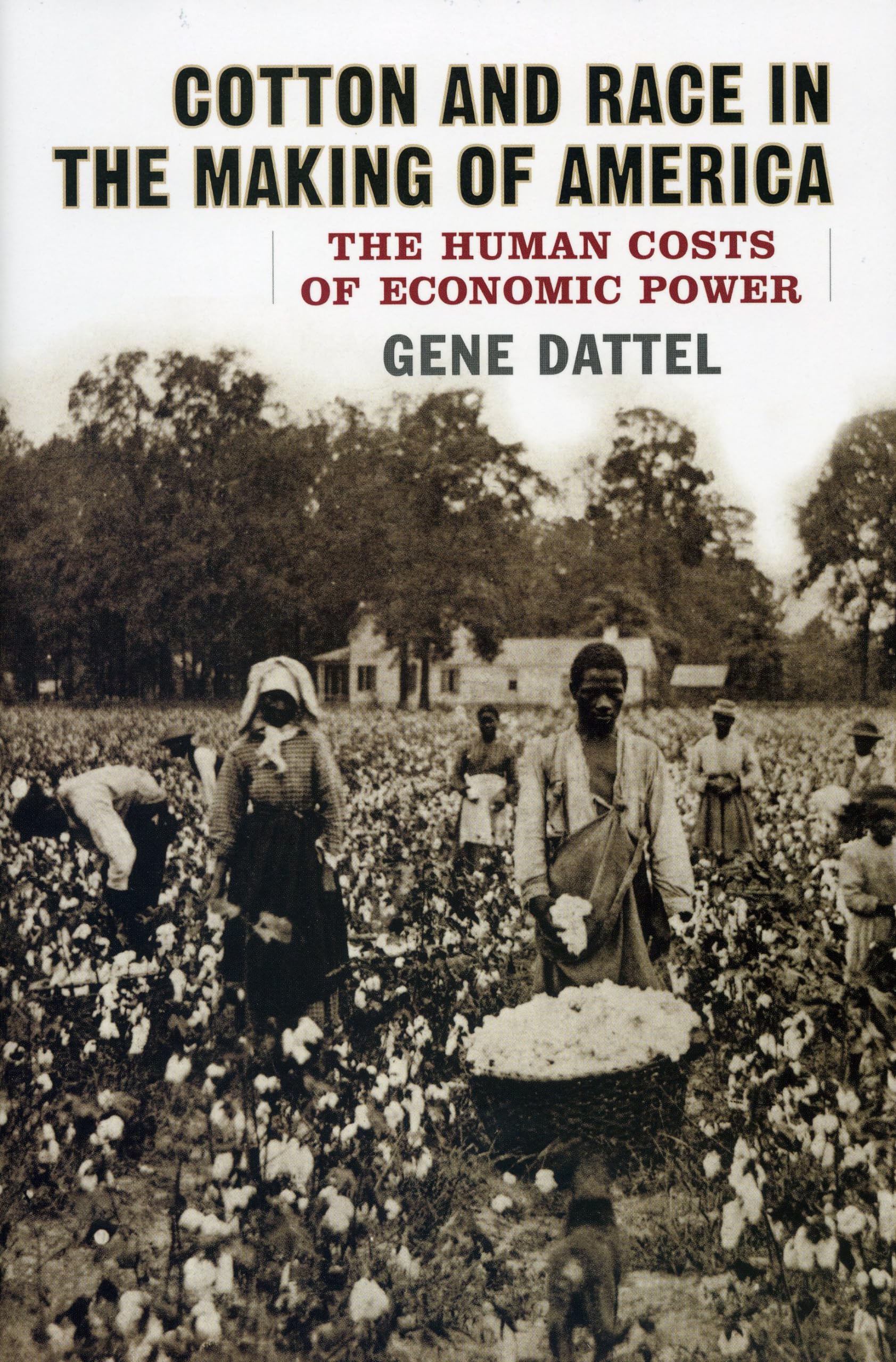 Cotton and Race in the Making of America: The Human Costs of Economic Power - Historical Analysis of US Slavery & Capitalism | Perfect for American History Studies, Social Justice Discussions & Economic Research
