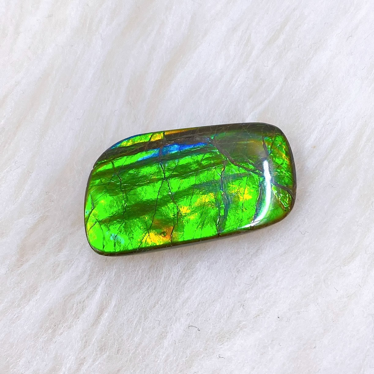 Natural Freeform Ammolite Gemstone FNA22164 - Unique Iridescent Jewelry for Collectors & Healing Crystal Enthusiasts | Perfect for Meditation, Energy Work & Fashion Accessories