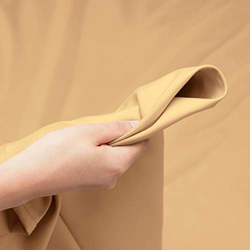 Camel Gold