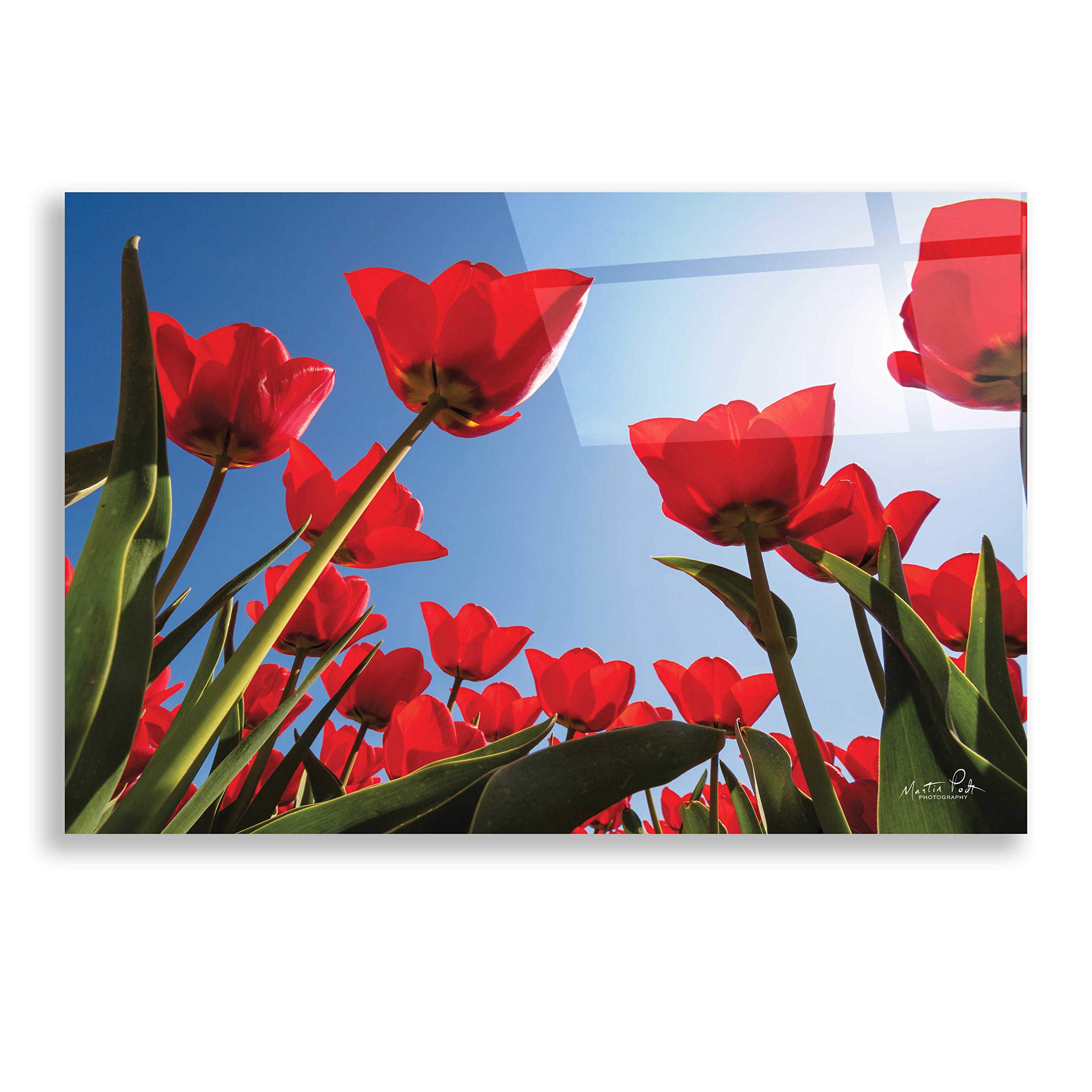 Epic Art 'Look Up in Red' by Martin Podt - Premium Acrylic Glass Wall Art 24x16 Inches - Modern Home & Office Decor for Living Room, Bedroom or Workspace