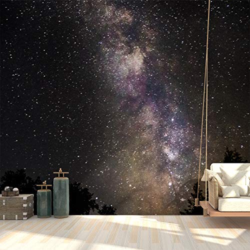 Starrysky-2003-n06