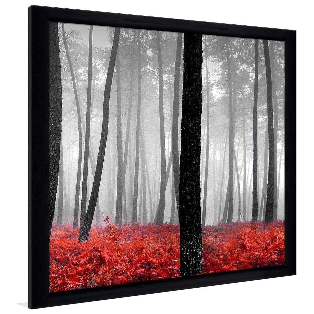 47 Autumn Woods Landscape Art Print on Acrylic - Stunning Nature Wall Decor for Living Room, Bedroom & Office