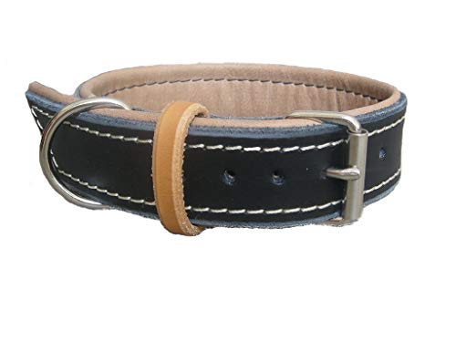 Premium Black Leather Padded Dog Collar for Medium & Large Breeds - Comfortable & Durable Pet Collar for Walking, Training & Outdoor Adventures - YupCollars