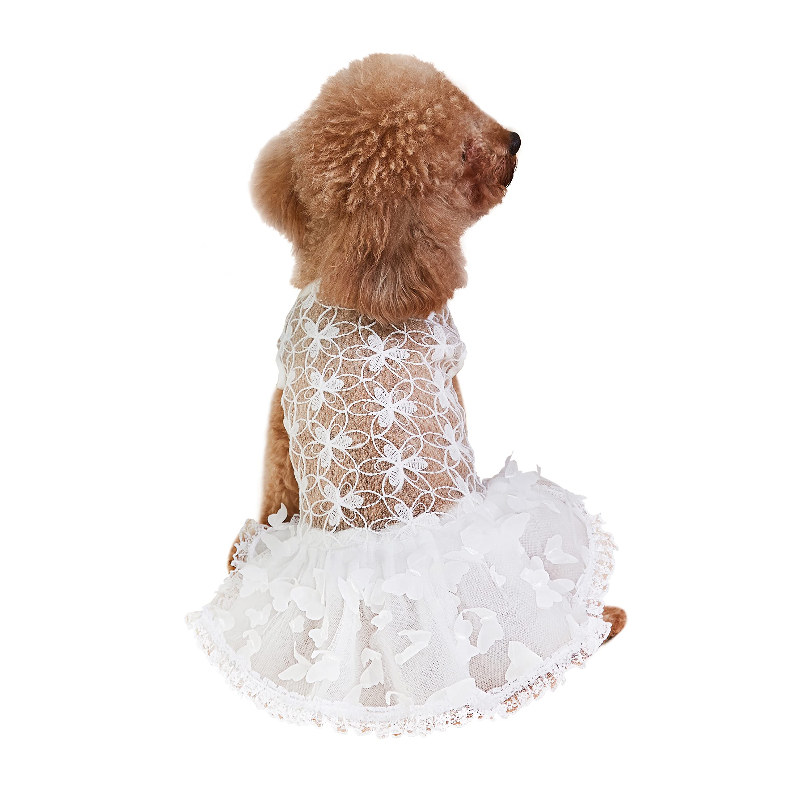 Gold Glitter Dog Tutu Dress for Small & Medium Dogs - Princess Lace Skirt for Pet Birthday, Wedding, Party, Halloween & Christmas Costume (White, Medium) - Perfect for Photo Shoots & Special Occasions