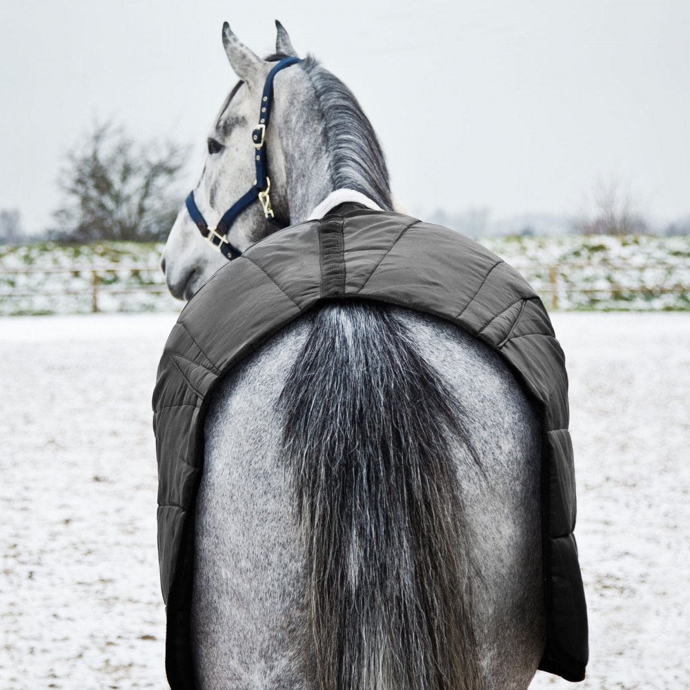 HORZE Nevada Medium Weight Stable Blanket 200g - Warm Horse Blanket for Winter, Turnout & Stable Use - Durable & Water-Resistant for All-Weather Protection