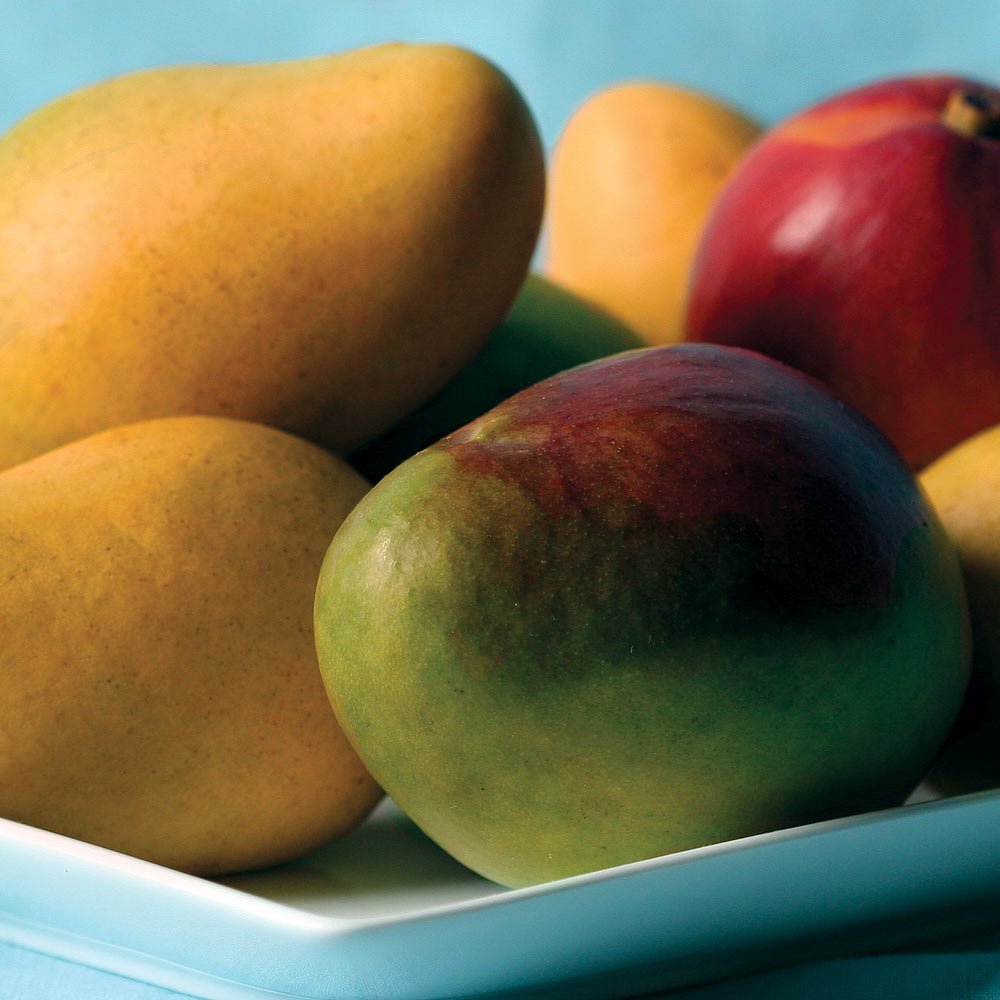 Fresh Mangoes - 7 lbs Premium Sweet Tropical Fruit from The Fruit Company - Perfect for Smoothies, Salads, and Healthy Snacks