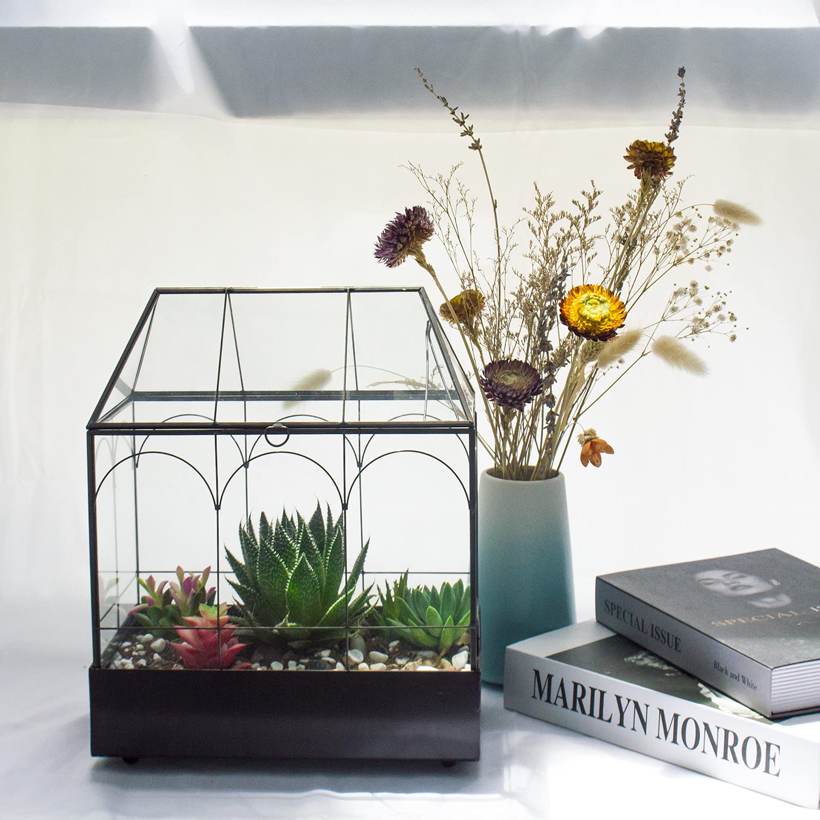 Large Tall Glass Plant Terrarium for Succulents & Air Plants – 9.5”X5.7”X11.4” House Terrarium Kit with Lip and Tray | Perfect for Home Decor, Office Desk & Indoor Gardening