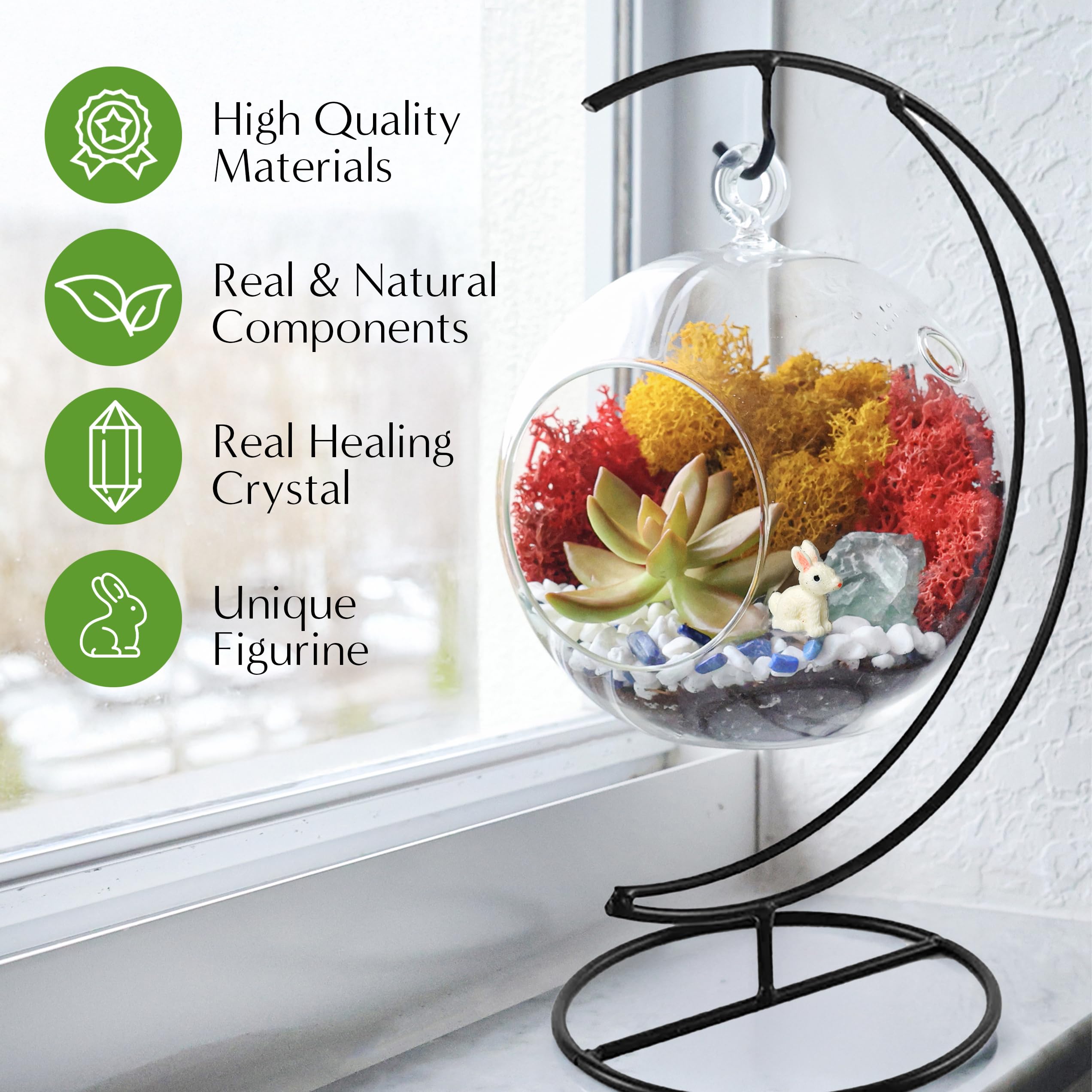 DIY Terrarium Kit for Adults & Kids - Complete Glass Hanging Planter with Stand, Moss, Crystals, Rocks & Mini Tools - Creative Home Decor & Educational STEM Gift for Plant Lovers (Perfect for Indoor Gardening, Office Desk Decor & Classroom Science Projects)