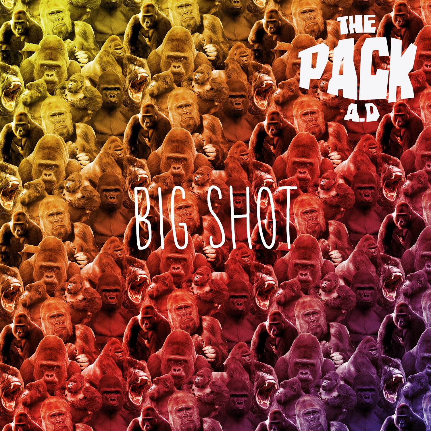 Big Shot - Premium Quality for Everyday Use | Perfect for Home, Office & Travel Essentials