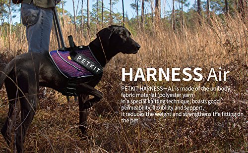 PETKIT HA8GYM Air Compression Dog Harness - Medium Size Breathable No-Pull Vest for Small to Medium Dogs - Perfect for Walking, Hiking & Outdoor Adventures