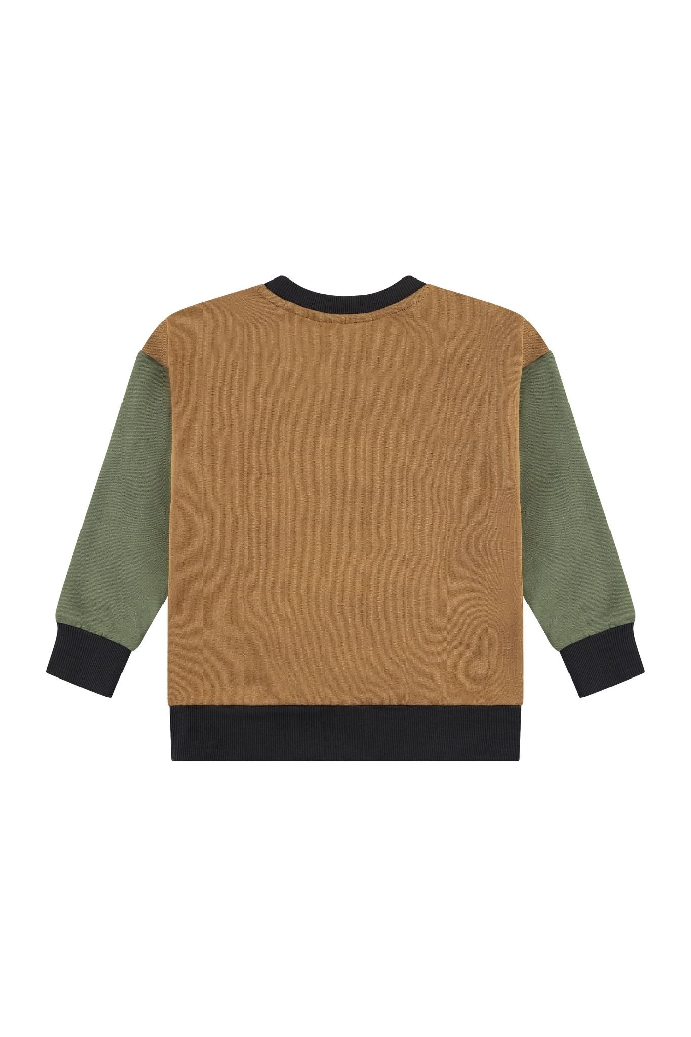 Stylish Boys' Color Block Crewneck Sweatshirt - Trendy Casual Wear for School & Play | Comfortable & Fashionable Kids' Top