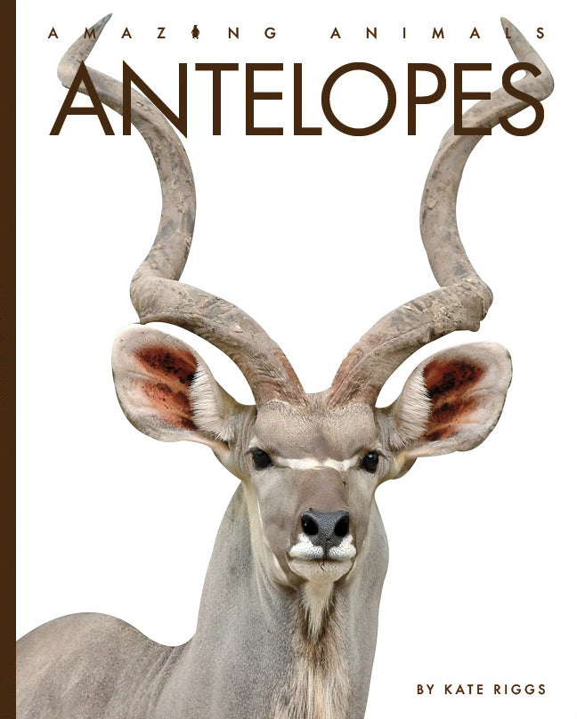 Antelopes: 9781640265585 - Wildlife Book for Nature Enthusiasts | Perfect for Animal Lovers, Safari Planning & Educational Use