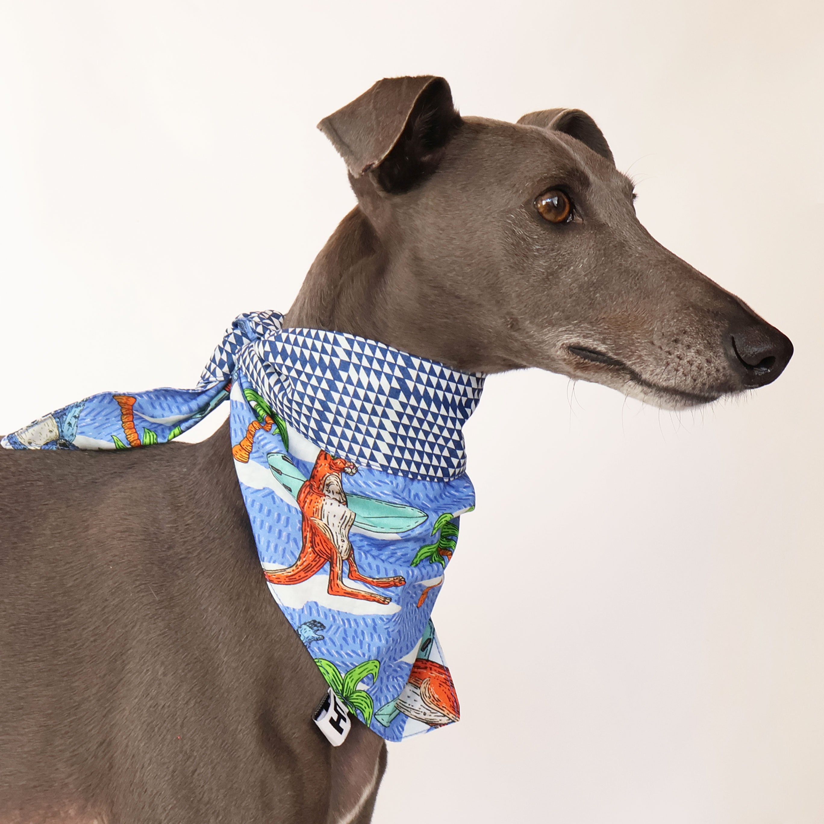 Surfs Up Bandana - Stylish & Breathable Surfing & Outdoor Accessory for Men & Women - Perfect for Beach, Hiking, Music Festivals & Summer Adventures