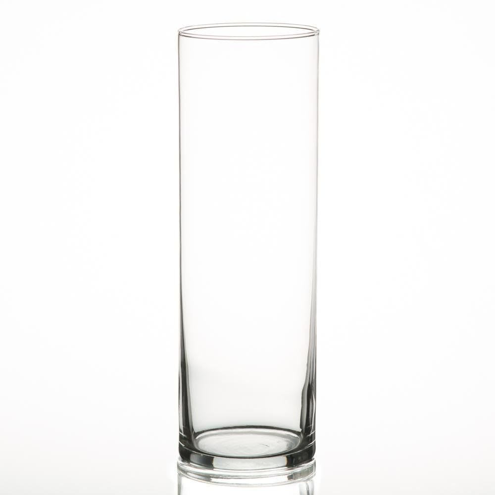 12 Pack Eastland Glass Cylinder Vases 10.5