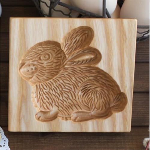 Hairy Rabbit10*10CM