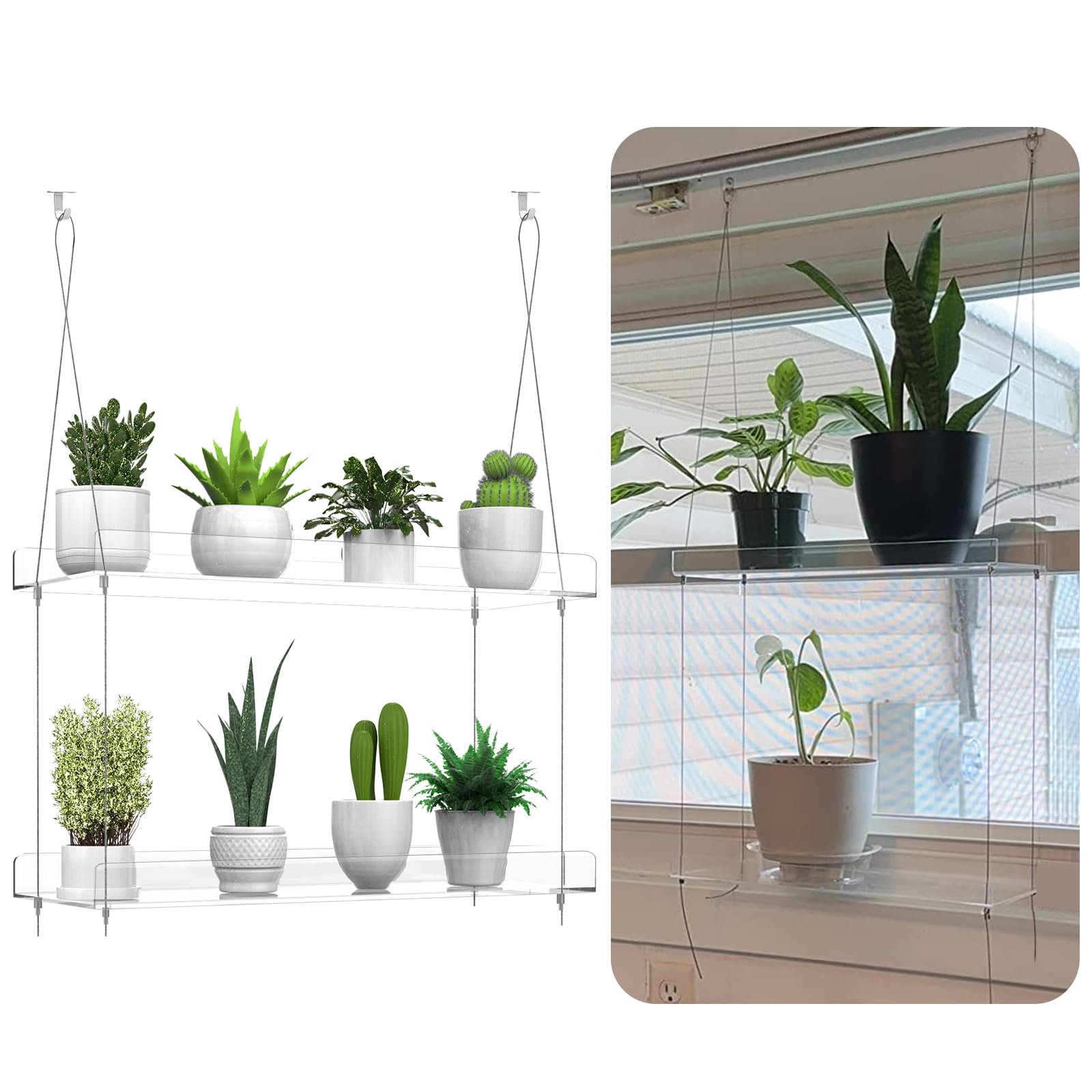 2-Tier Clear Acrylic Hanging Plant Shelf for Windows - 16 Inch per Tier - Perfect for Indoor Gardens, Kitchen Herb Display, Succulents, Flower Pots & Seedling Organization - Ideal for Small Space Gardening & Home Decor