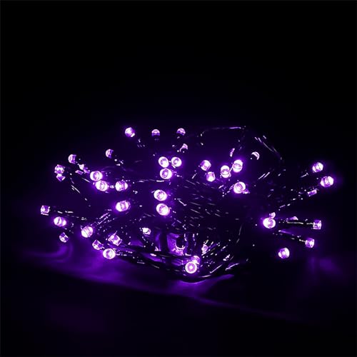 Black Wire-Purple