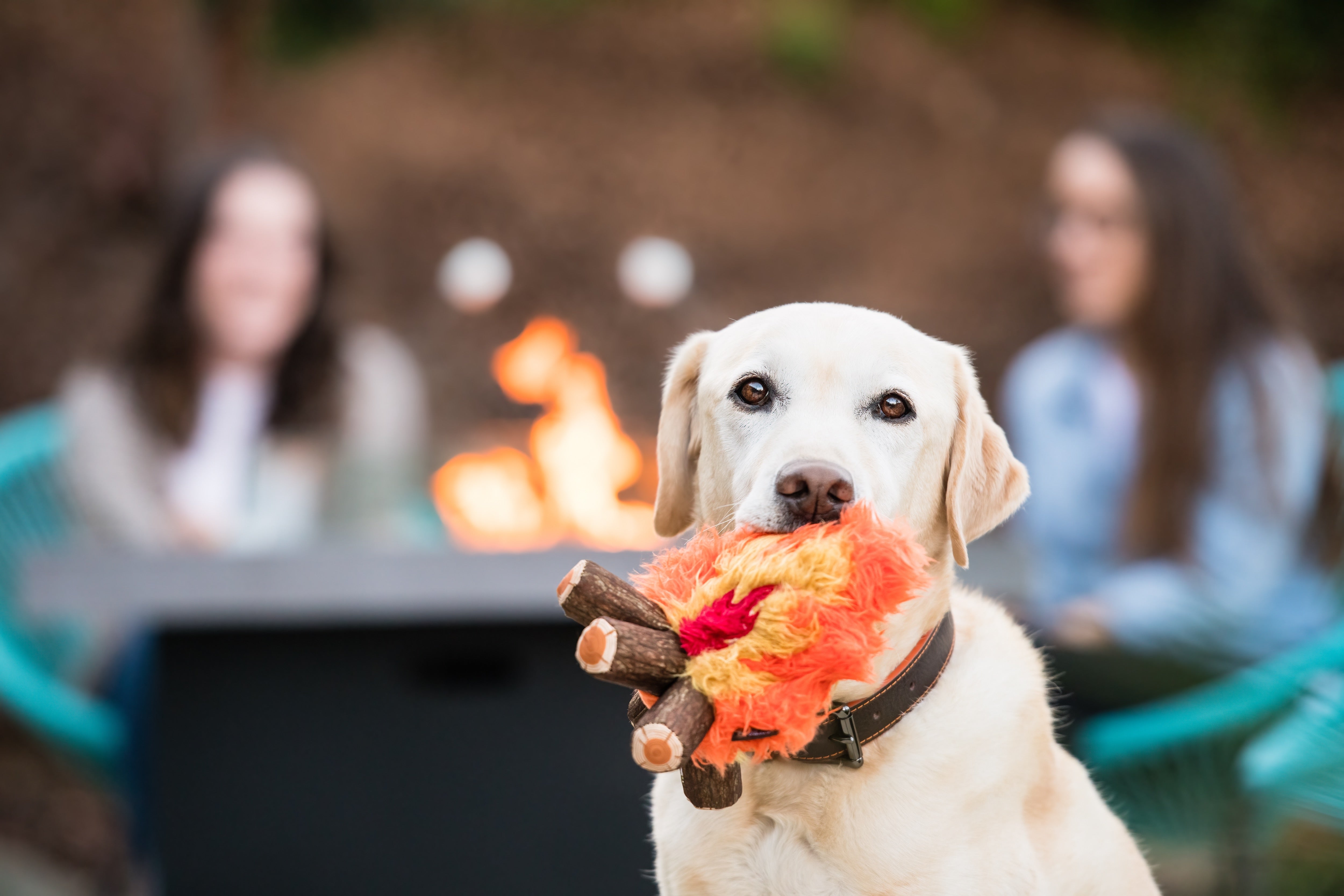 La Fogata Dog Chew Toy - Camp Corbin™ Plush Squeaky Chew Toy for Dogs | Pet P.L.A.Y. | Perfect for Playtime, Training & Outdoor Adventures