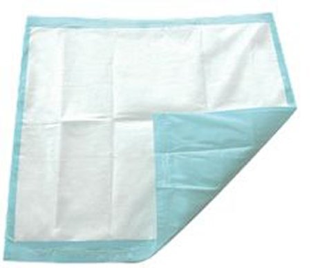 TotalDry Incontinence Bed Pads - Super Absorbent Disposable Underpads for Adults - Waterproof Mattress Protector for Beds, Chairs & Wheelchairs - Soft & Quiet Leak Protection (100 Count) - Ideal for Home Care, Hospitals & Overnight Use