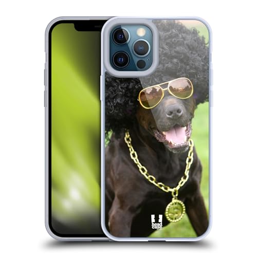 Dog In Funny Costume
