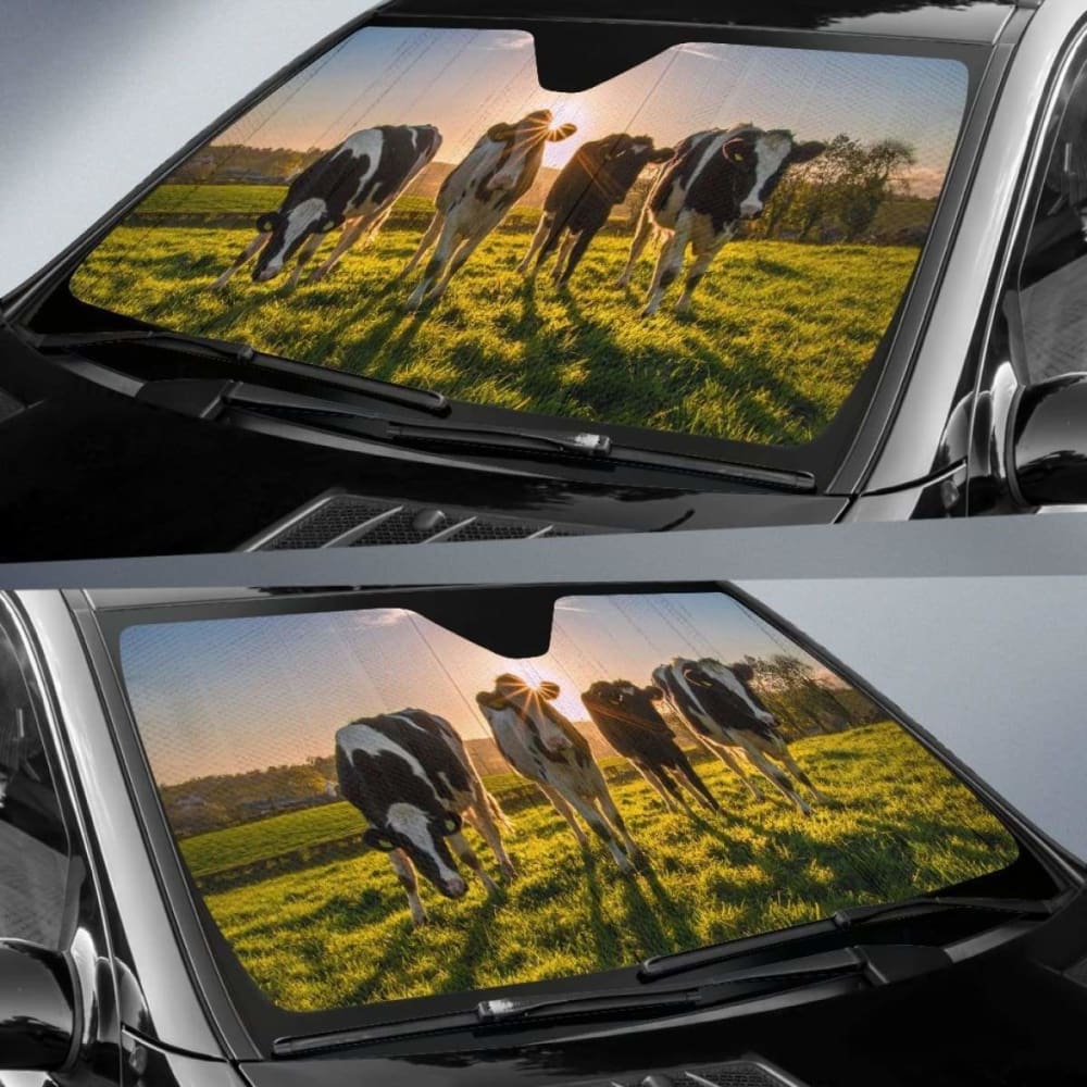 Car Windshield Sun Shade for Auto Sun Protection - Universal Fit 32