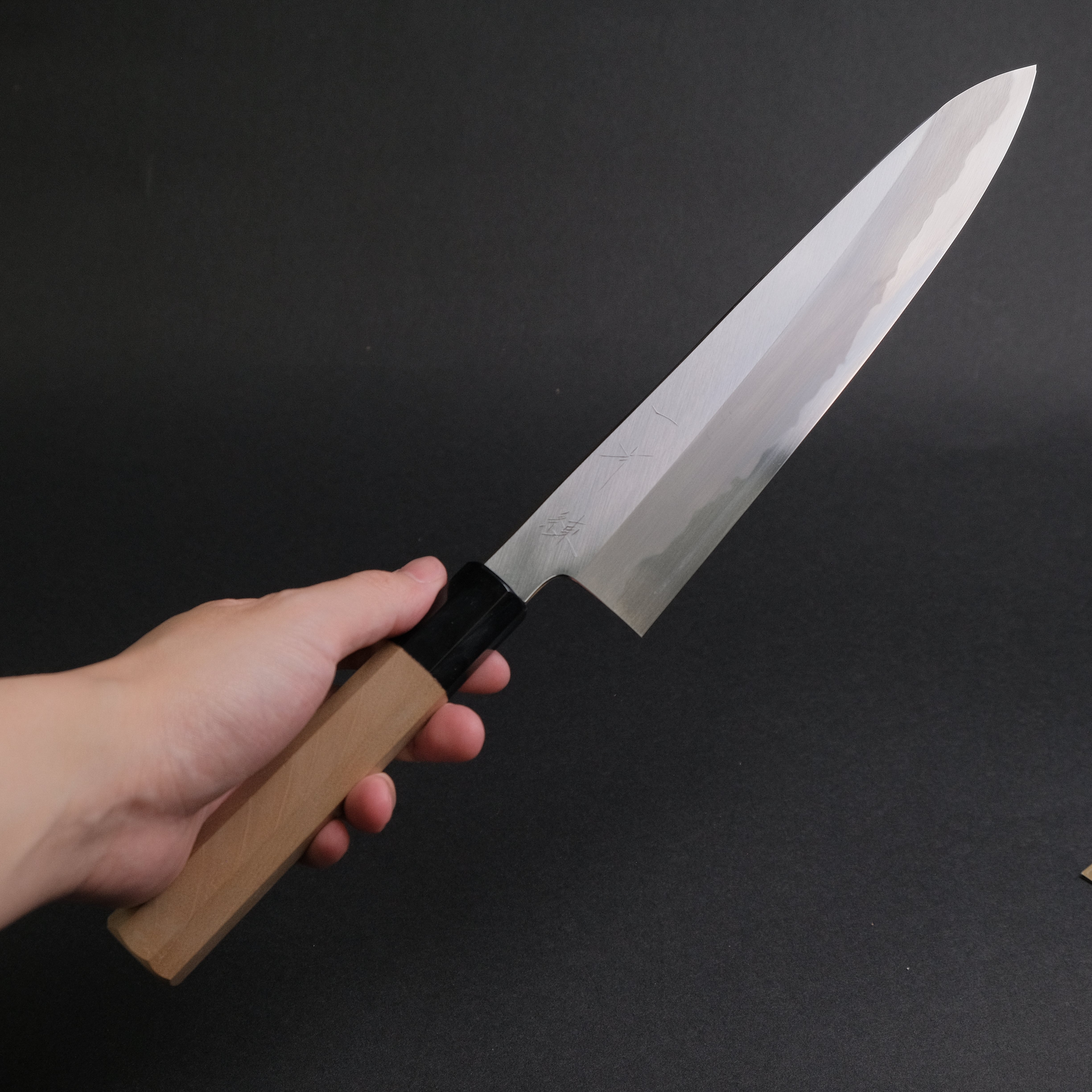 Hitohira Kikuchiyo Ren Blue #2 Gyuto 240mm Japanese Chef Knife with Ho Wood Handle - Perfect for Sushi, Meat Slicing & Professional Kitchen Use