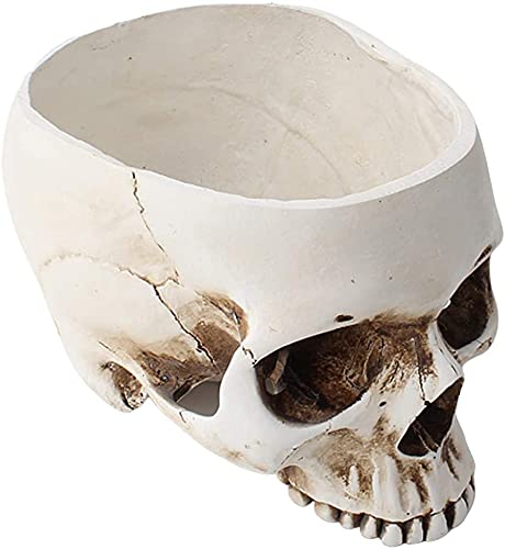 Skull Flower Pot - Resin Skull Shaped Planter for Succulents & Small Plants | Gothic Home & Office Desk Decor | Unique Gift for Halloween & Gothic Lovers