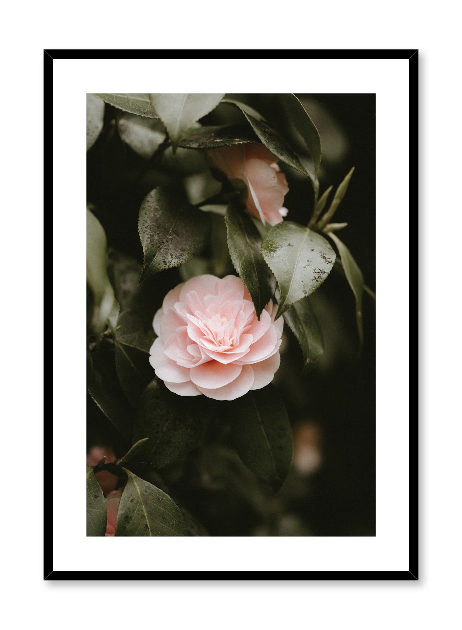 Purity Poster - Inspirational Wall Art for Home, Office & Classroom Decor - Motivational Quote Prints for Living Room, Bedroom & Workspace