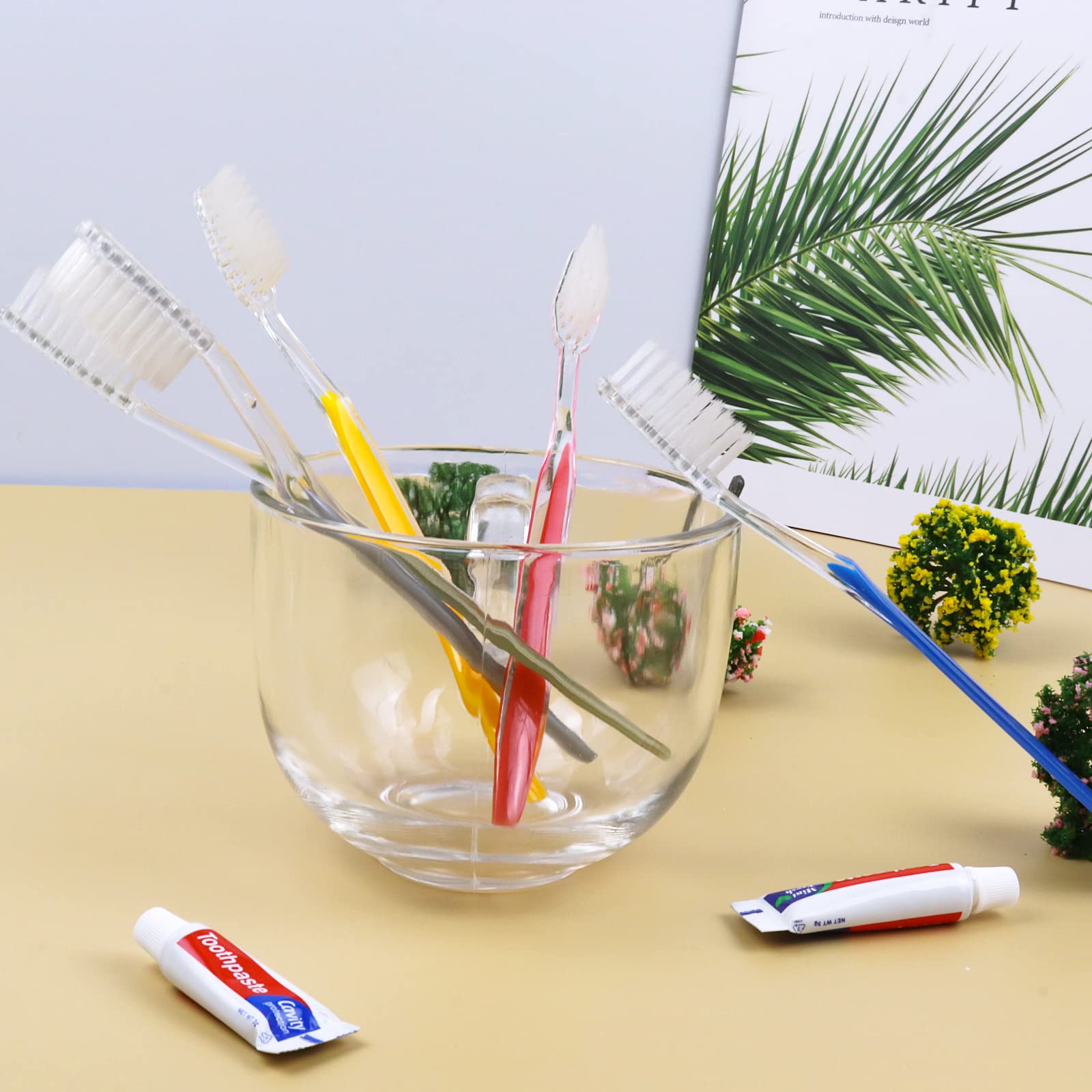 Eco-Friendly Disposable Toothbrushes with Pre-Pasted Toothpaste - 500 Pack (5 Vibrant Colors) - Perfect for Travel, Camping, Offices & Emergency Kits