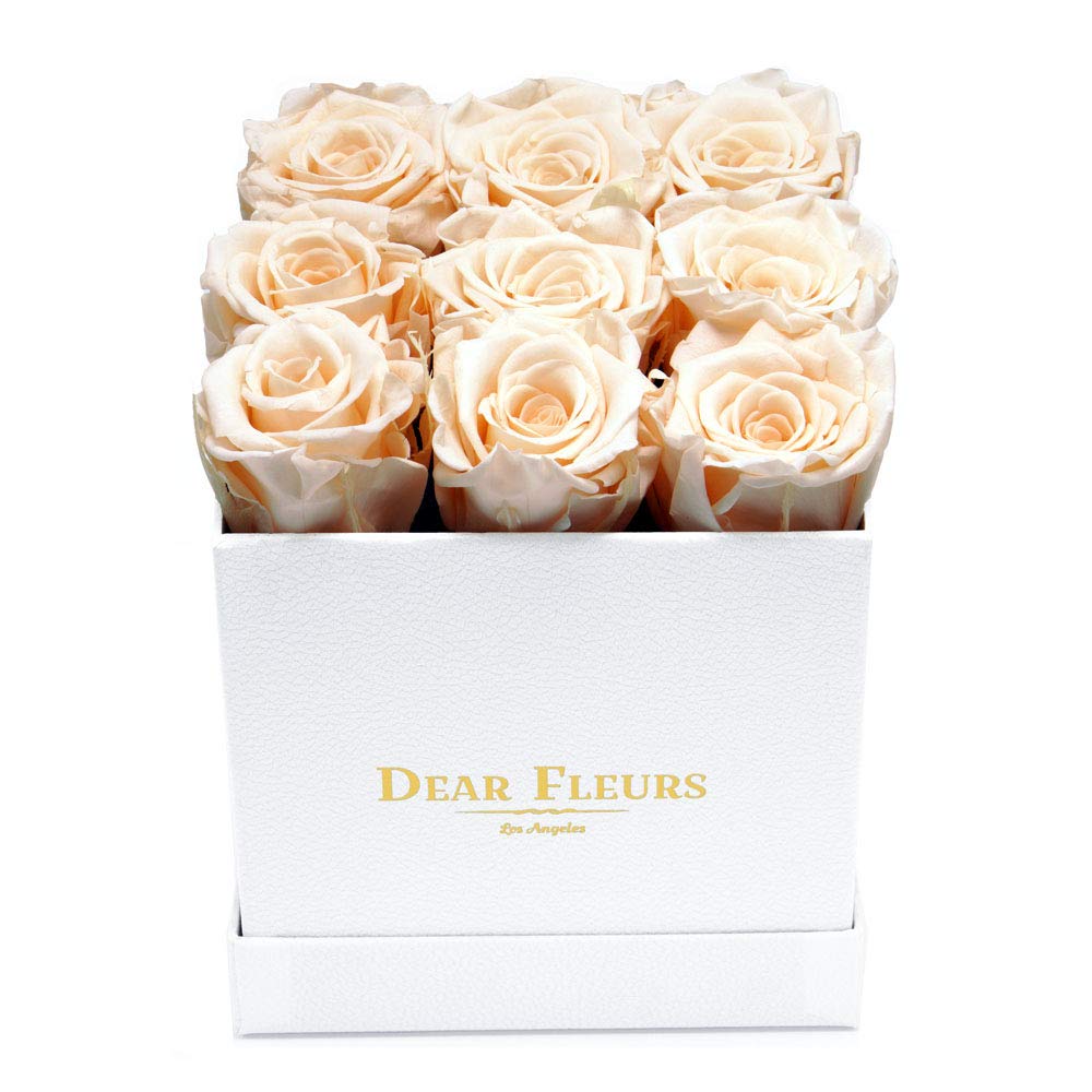 Real Preserved Roses That Last 1 Year | Luxury Eternal Roses Gift Set in Champagne White Leather Box | Perfect for Anniversaries, Valentine's Day & Home Decor