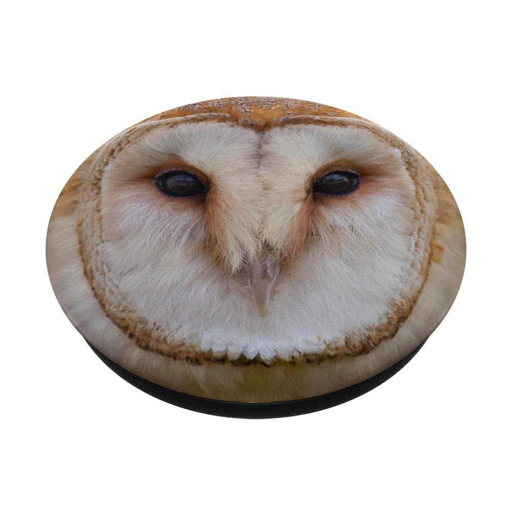 Barn Owl Wildlife Photography PopSockets PopGrip - Interchangeable Phone Grip for iPhone, Samsung & Tablets - Perfect for Nature Lovers, Hiking & Outdoor Adventures