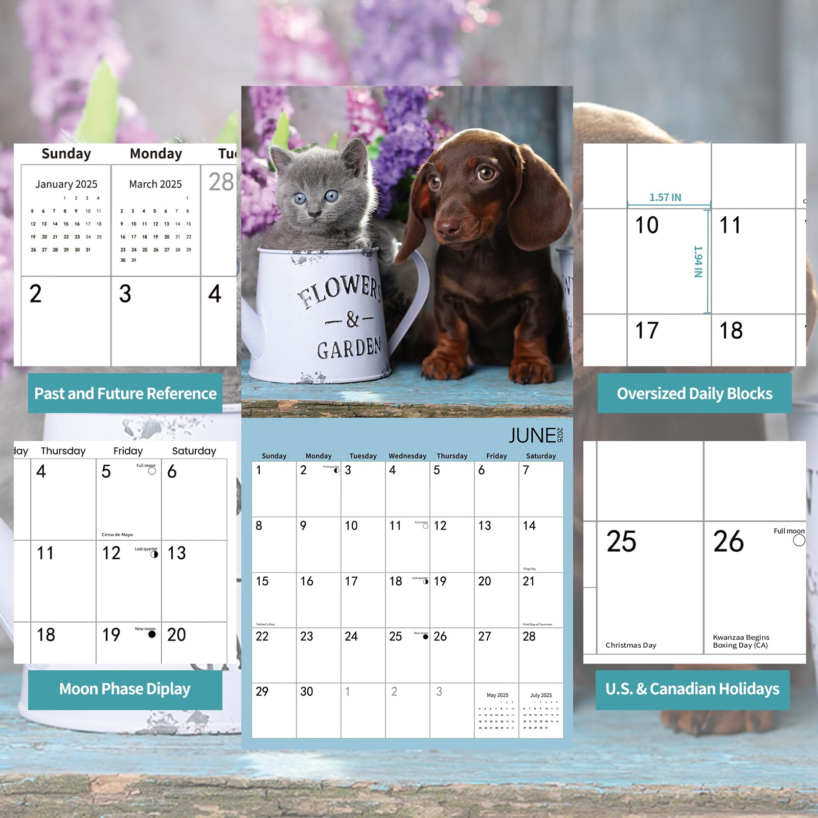 **2025 Wall Calendar with Cute Kittens & Puppies - 12