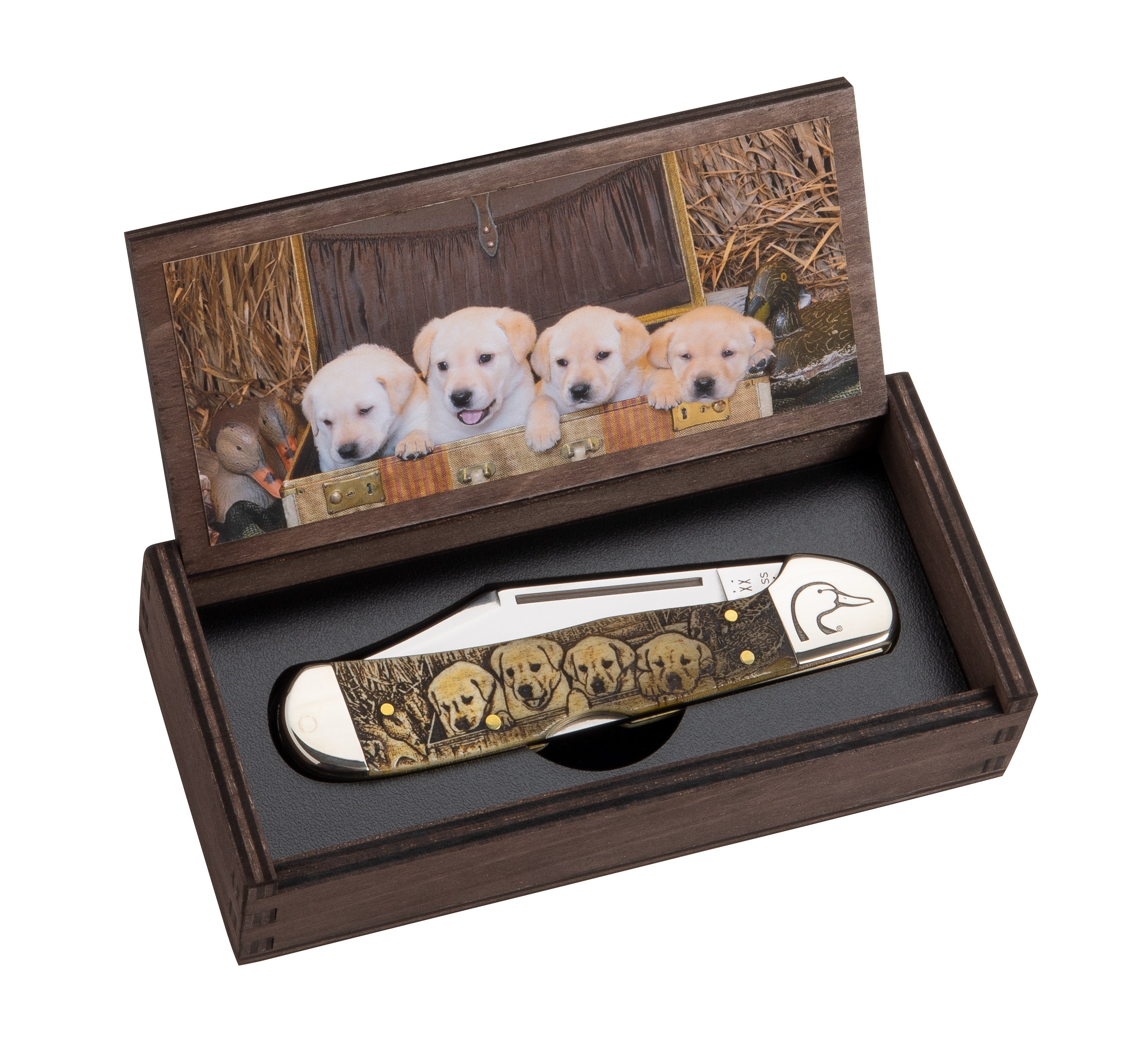 Case Ducks Unlimited Natural Bone Color Wash CopperLock Pocket Knife with Wood Box - Hunting & Outdoor Survival Tool (Model CASE17525) - Perfect for Camping, Fishing & Everyday Carry (EDC)