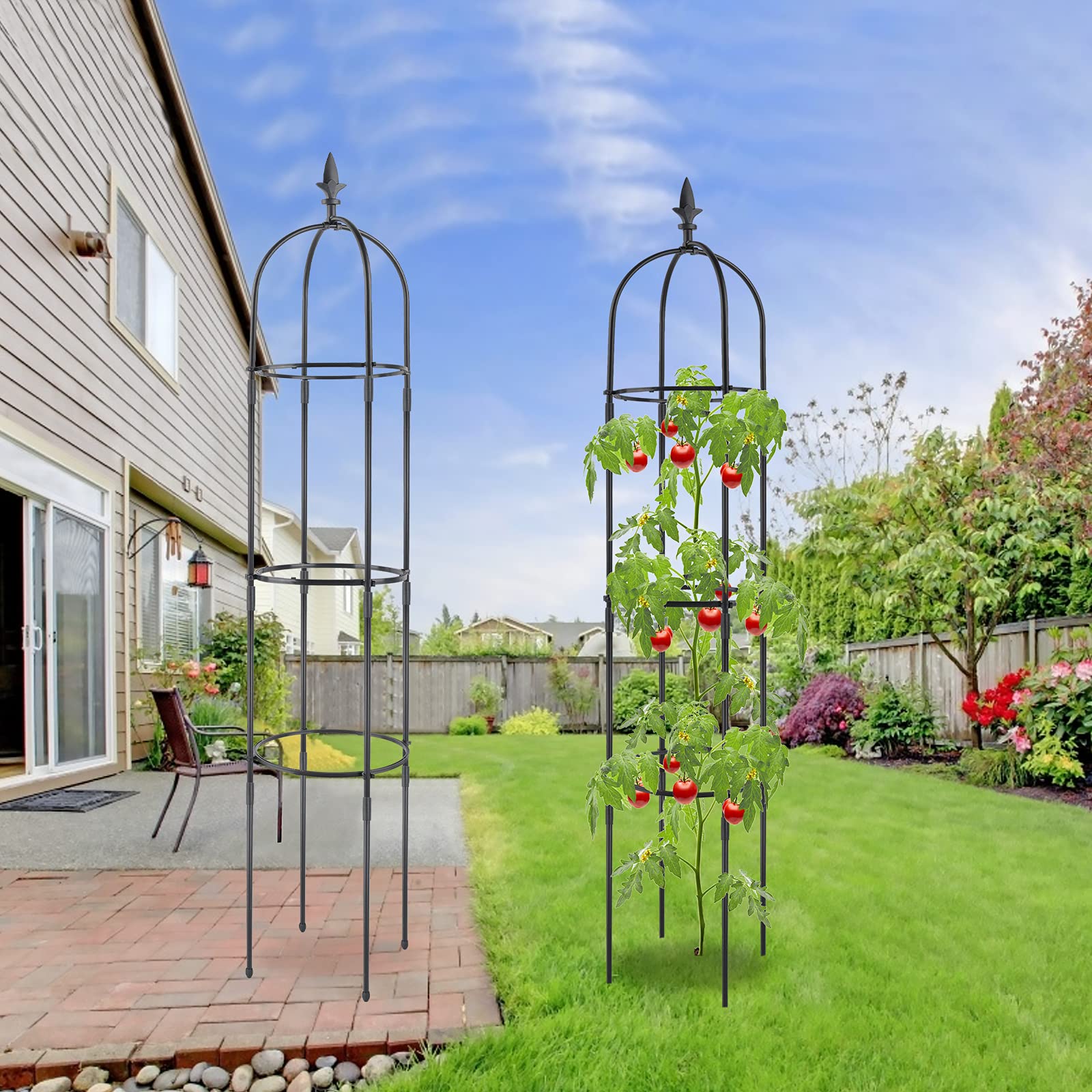 2 Pack Rustproof Plastic Coated Metal Garden Trellis for Climbing Plants - Outdoor Plant Support Obelisk, Indoor Potted Plant Stake, Tomato Cage for Roses & Vegetable Vines | Perfect for Gardens, Patios, and Balconies