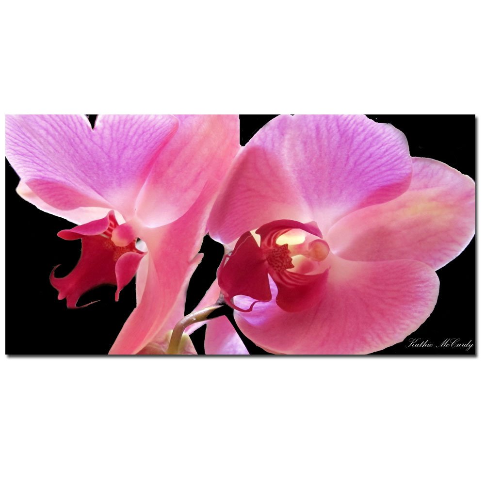 Trademark Art Orchid Canvas Wall Art by Kathie McCurdy - 10x19 Inch Floral Painting for Home Decor, Living Room, Bedroom & Office