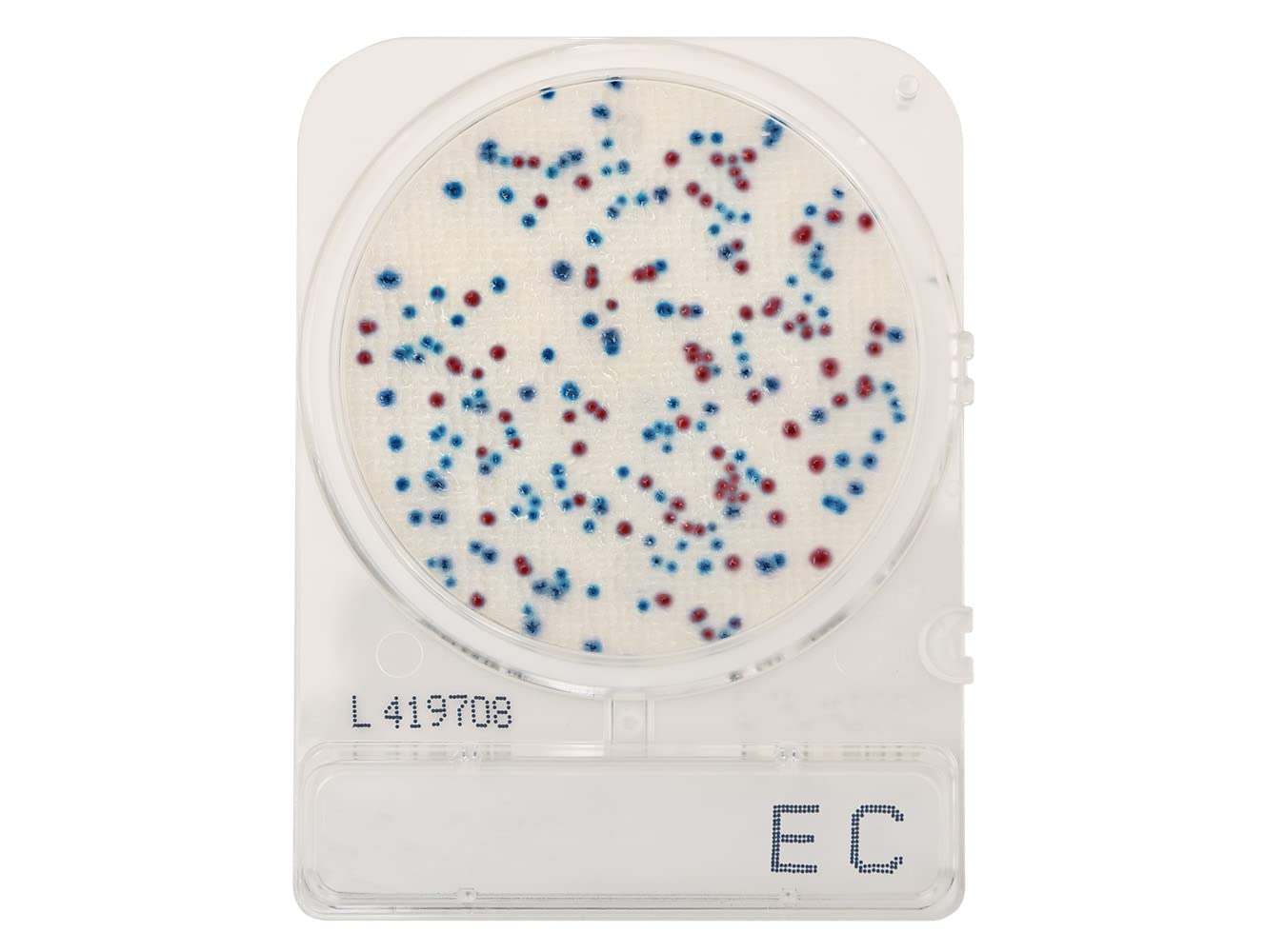 CompactDry EC (E. coli and Coliforms) Test Kit - AOAC Approved 110402 for Colony Counting | 240 Plates/Pack | Laboratory Water & Food Safety Testing by Hardy Diagnostics