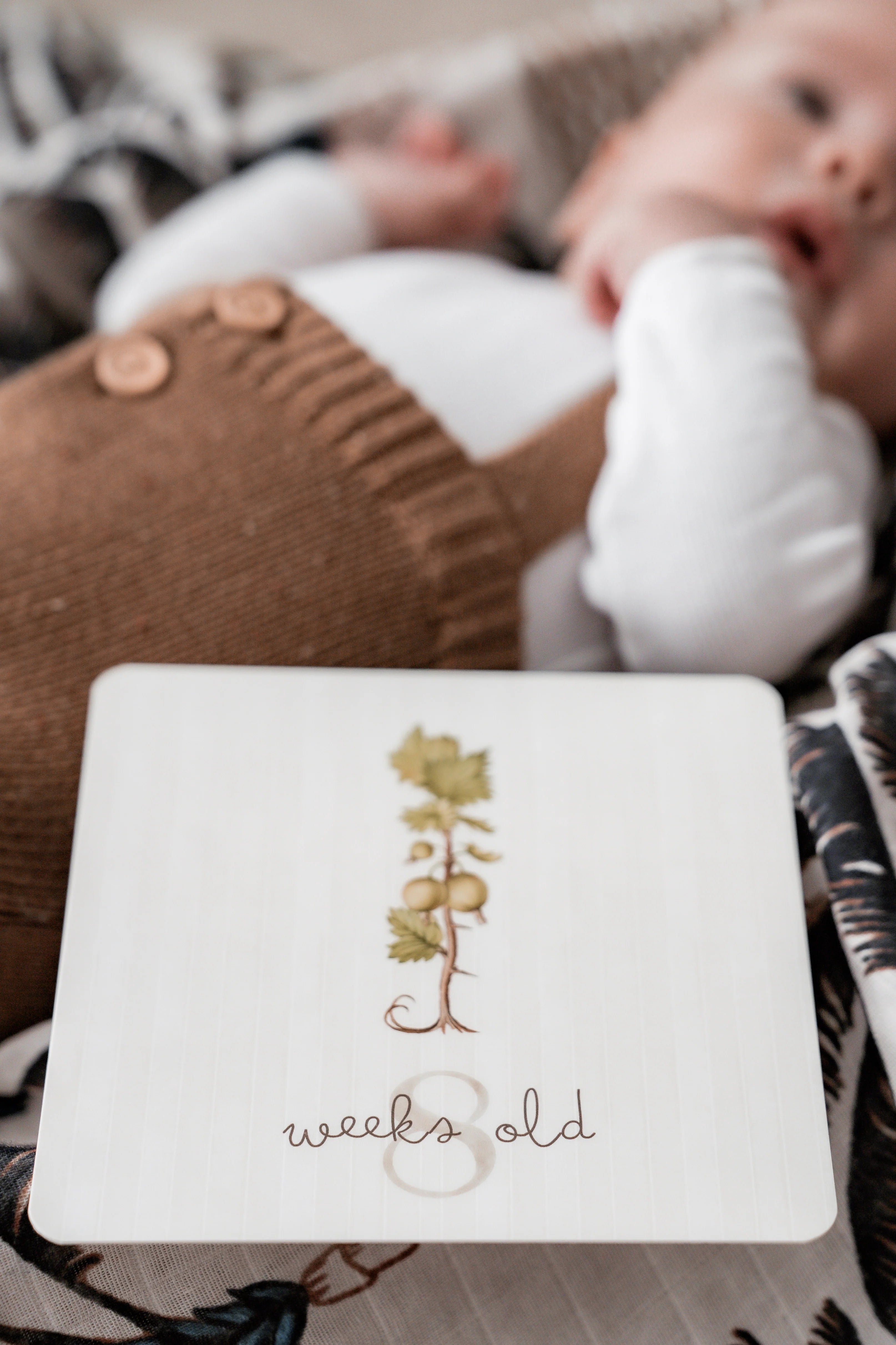 Pop Ya Tot Botanical Milestone Card Set - Baby Growth Photo Props & Newborn Memory Keepsake - Perfect for Monthly Baby Pictures, First Birthday, and Nursery Decor